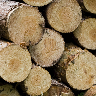 Restrukturierung Prozesskette Holz
